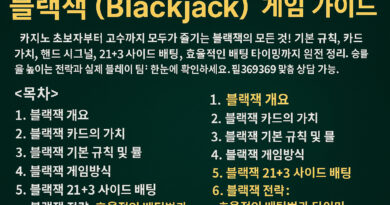 블랙잭(Blackjack) 게임 가이드 이미지. 카드의 규칙, 히트와 스탠드, 더블다운, 스플릿, 인슈어런스 등 블랙잭 룰과 배팅 방법이 정리되어 있는 표 형식의 안내 이미지.